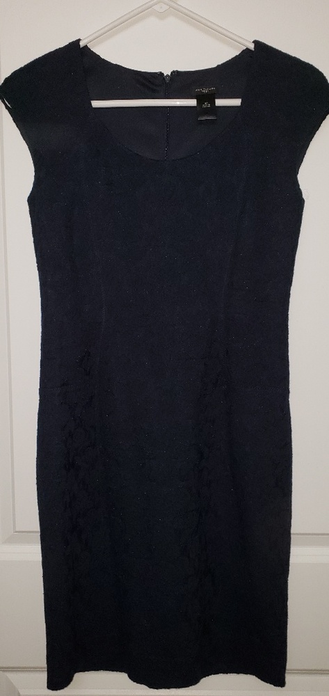 Ann Taylor Little Navy Dress
